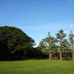 神奈川県の面積の広い土地・売地