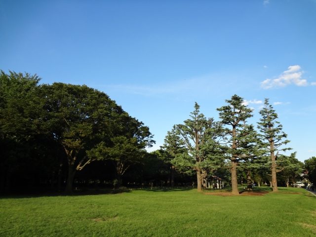 神奈川県の面積の広い土地・売地